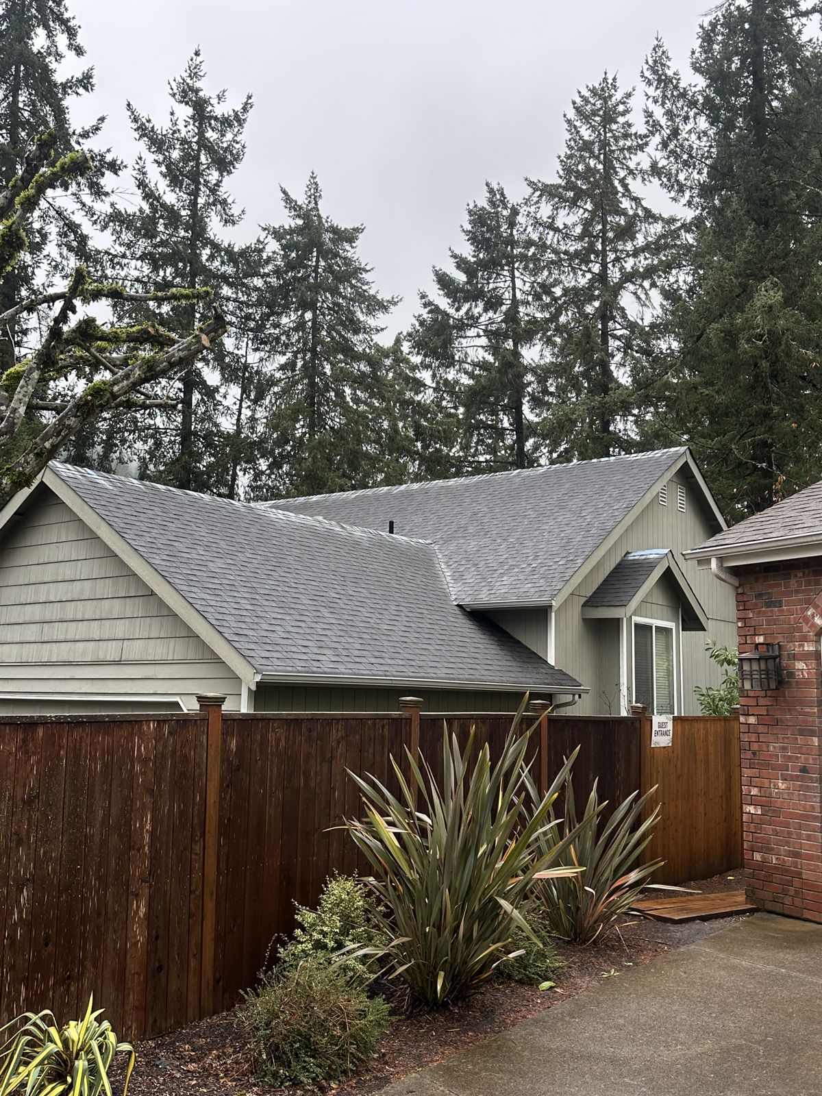 Clean shingle roof after gutter and roof cleaning, Eugene area home surrounded by fir trees