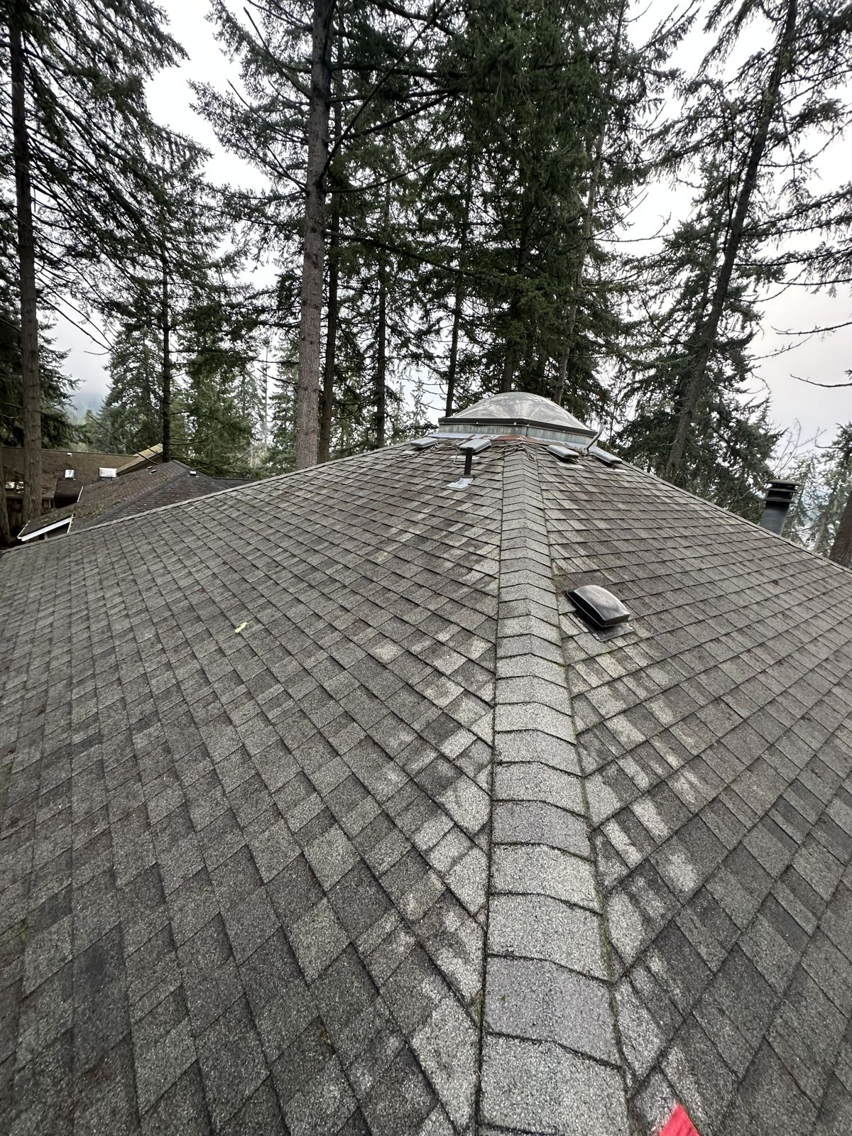 Close-up of a cleaned shingle roof with skylight dome after roof cleaning