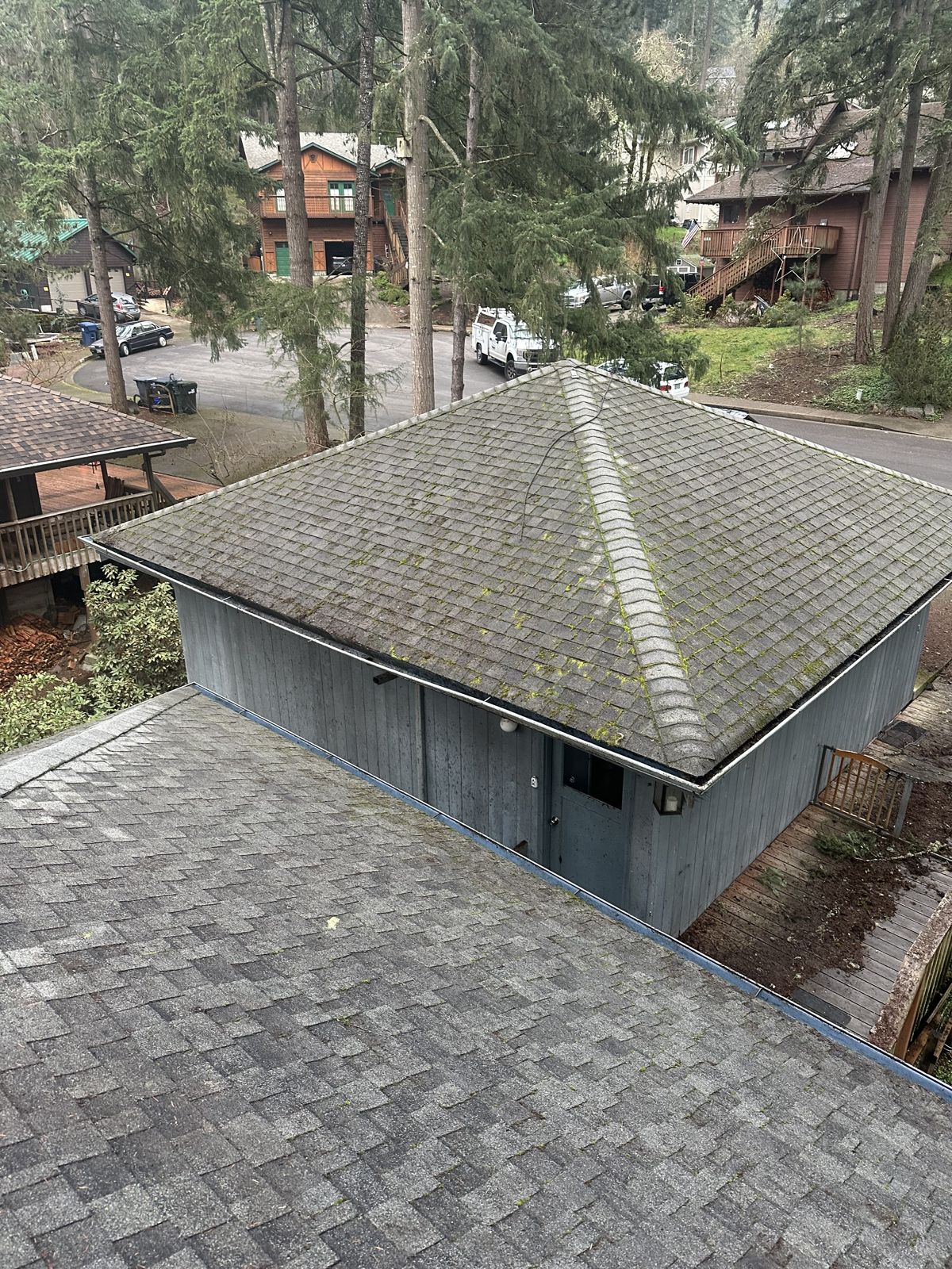 Completed gutter cleaning job on a home under heavy tree cover